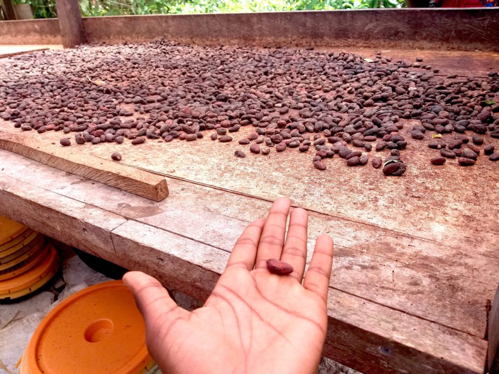 how-to-make-chocolate-cocoa-beans-factory-localchocolate-travelwithclem