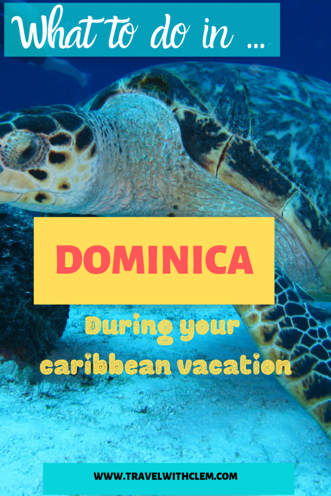 things-to-do-in-dominica-pinterestgraphic-scuba-diving-caribbean-travelwithclem
