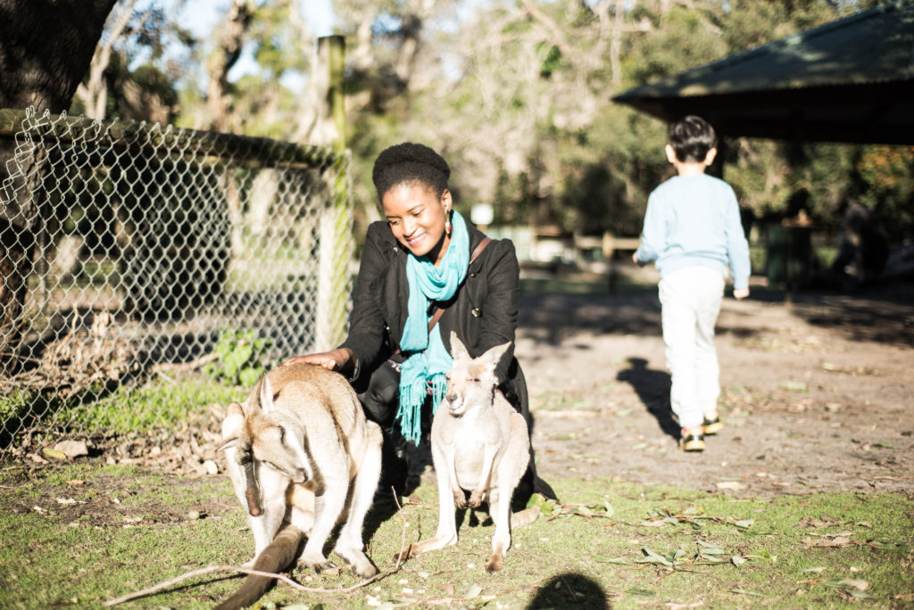 how-to-travel-more-visit-australia-black-girl-petting-kangaroos-travelwithclem