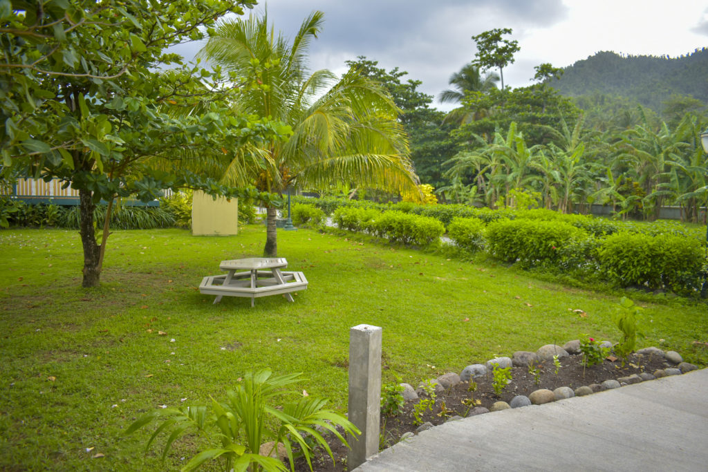Garden view in the Caribbean, Dominica, a sustainable island
