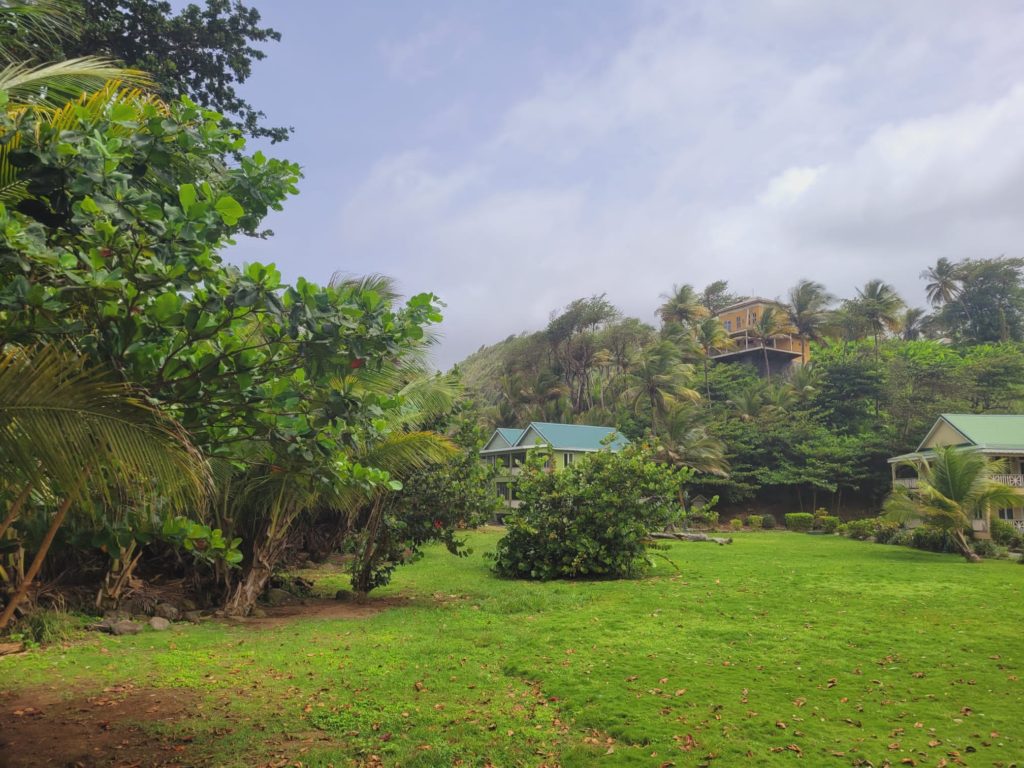 Garden view of the Rosalie Bay Eco resort, a Caribbean Eco resort 