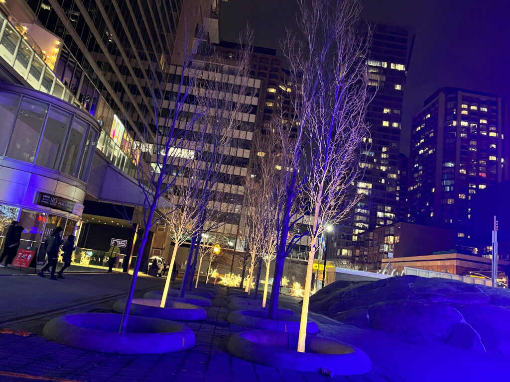 Christmas lights Toronto - blue tree at the Bloor Yorkville neighborhood