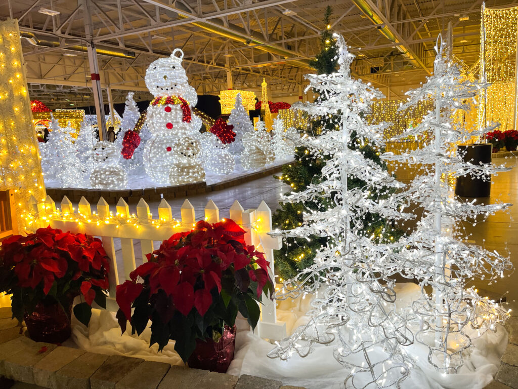 Christmas poinsettia flowers and white colors display at the Glow Gardens Christmas