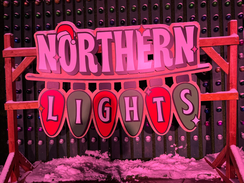 Northern Lights Display - Toronto Christmas