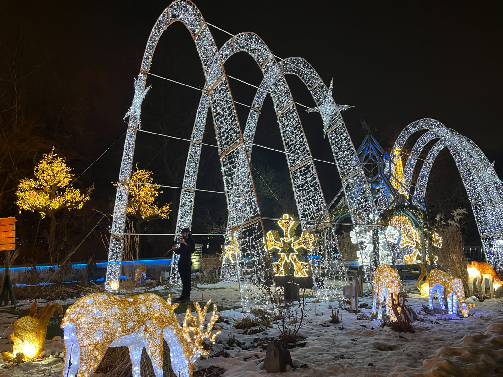 Toronto Winter Travel: Things to do in Toronto during the winter