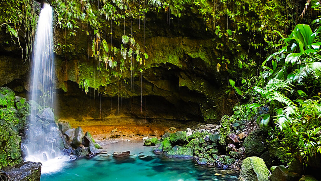 Dominica island: picture of the beautiful emerald pool, popular cold water pool in Dominica