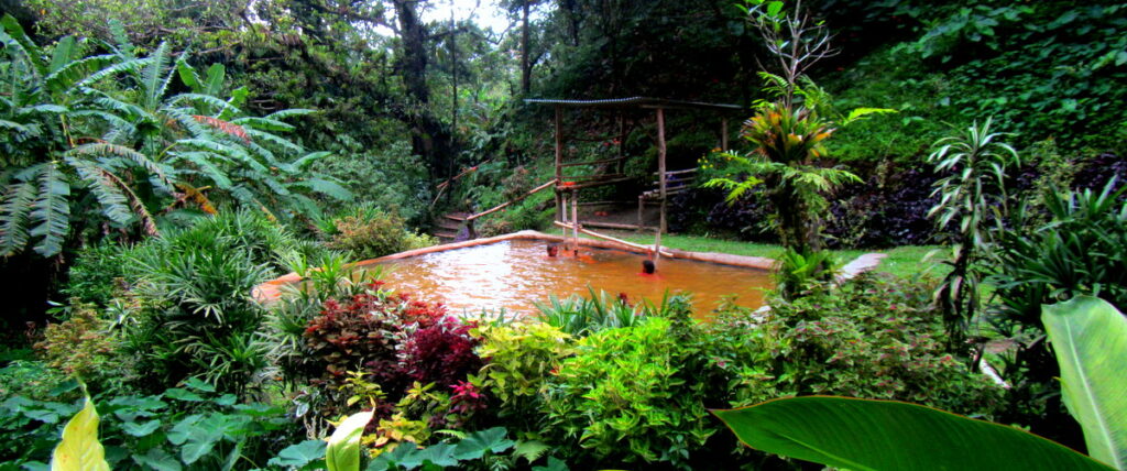 A photo of Ti Kwen Glo Cho, beautiful sulphur spring in Dominica