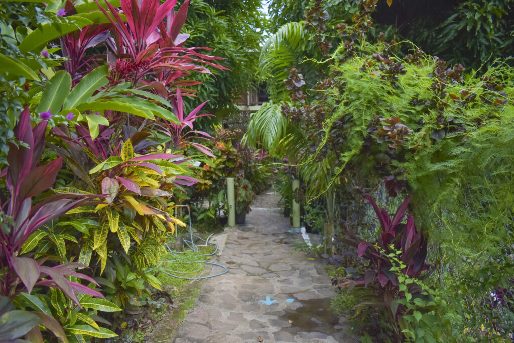 Dominica Travel: Hibiscus Valley Inn in Marigot, Dominica