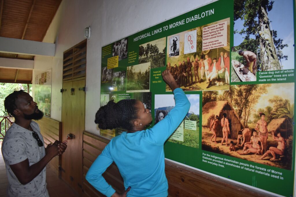 sustainable tourism experience: exploring the syndicate national train in Dominica