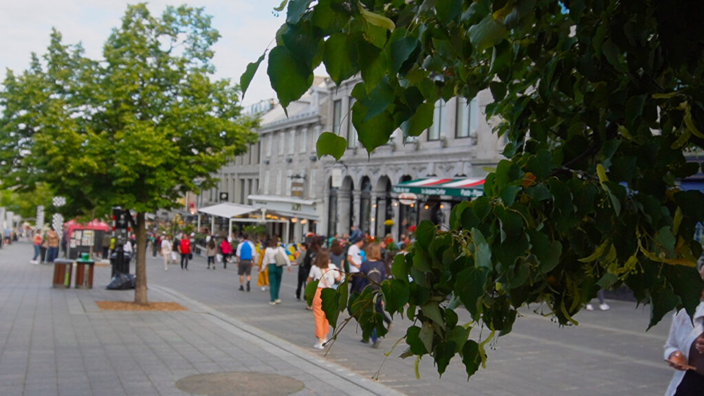 Montreal travel: walking down the streets of Old Montreal in Montreal, Quebec 