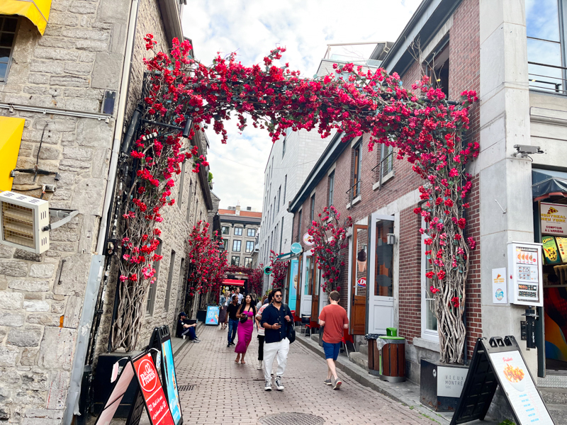 Tourists walking through a Bourgainvillea alley in Old Montreal during the spring and summer 
