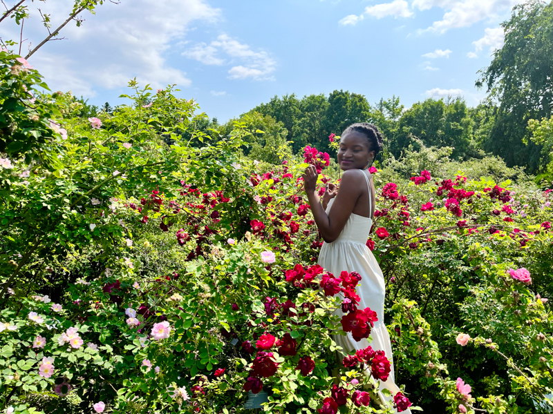 Beautiful black girl, travel with Clem, Clementine Affana posing among a rose garden at the Montreal Botanical gardens in the summer 