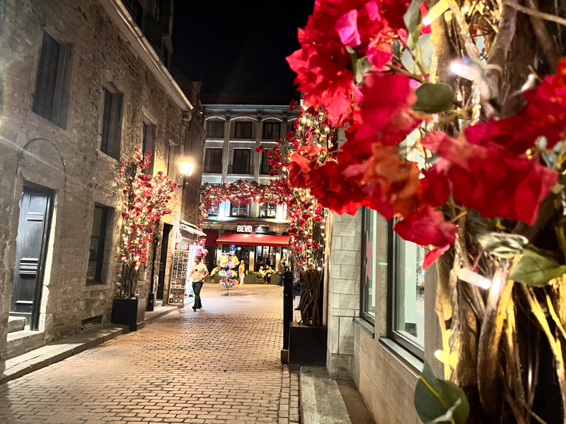 A flowery alley at the Old Montreal