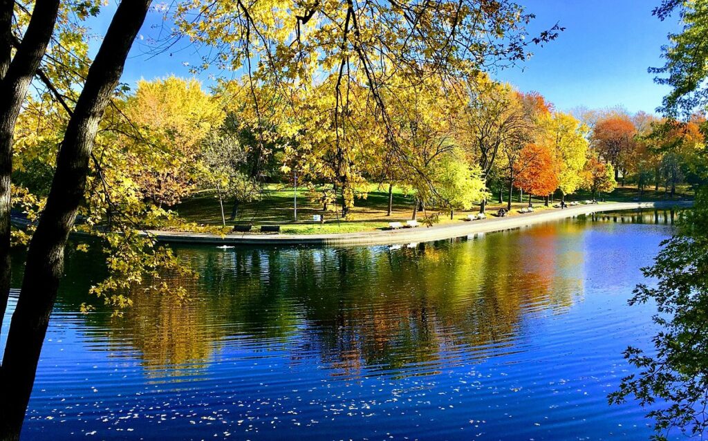 Best free things to do in Montreal: spend some time or have a Picnic at Parc La Fontaine