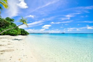 White sand beach - green trees and blue skies