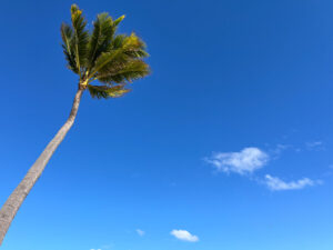 Yacht Cruise in Fort Lauderdale - A photo of the blue sky at Fort Lauderdale beach