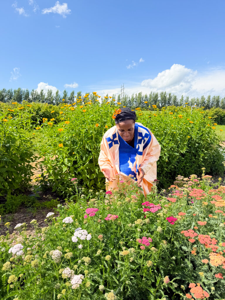 Travel with Clem and her mom visiting the Black fox and Farm Distillery in Saskatoon, and leaning over a field of beautiful flowers wearing African clothing.